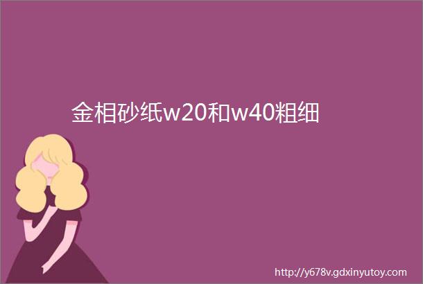 金相砂纸w20和w40粗细